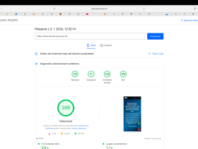 Snímka obrazovky 2026-01-03 o 12.32.55 Predám dva kvalitné weby pre búracie a maliarske prace | 1. na GOOGLE | SEO pozíciami