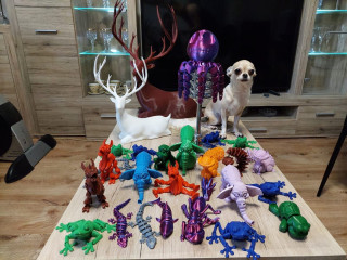 299864487_105010982334541_5385071527283383281_n