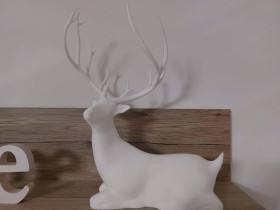 299983173_105103865658586_6752583501907280364_n